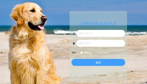 娱乐吃瓜酱宠物收养,爱心与宠物的温馨邂逅