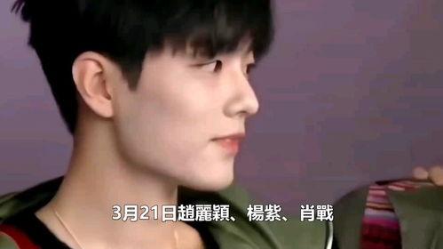 娱乐圈吃瓜肖战赵丽颖,肖战赵丽颖事件再掀波澜