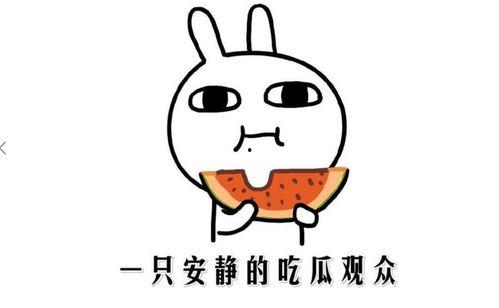 娱乐吃瓜酱咋了,揭秘网络热点背后的真相与趣味