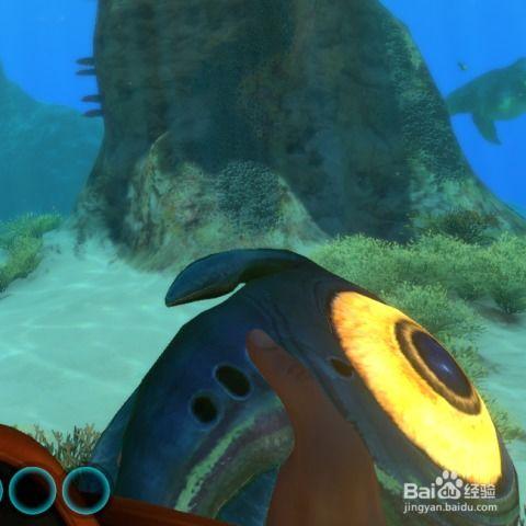 深海娱乐吃瓜,揭秘娱乐圈的“吃瓜”风云