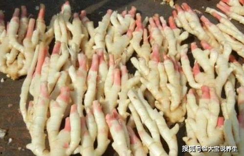 娱乐吃瓜君姜丝